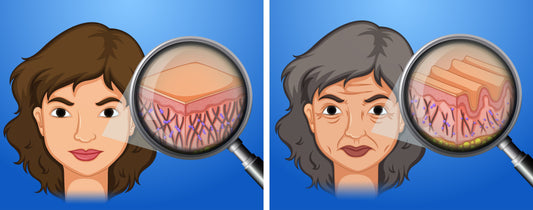 what is skin barrier